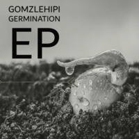 GomzLehipi-Thunder by Gomolemo GomzLehipi Johane