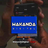 Nuh Mziwanda Ft. Country Boy - Busy Body| Wakandadigital by wakandadigital.com