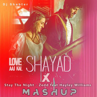 Shayad X Stay The Night (Mashup) - Dj Shabter by Dj Shabster