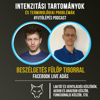 Intenzitási tartományok és laktátküszöb - Beszélgetés Fülöp Tiborral - Facebook Live adás by Futólépés