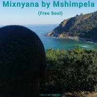 Mixnyana By Mshimpela (Free Soul) by Mshimpela