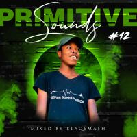 Primitive Sounds 12 Mix By BlaQSmasH by BlaQSmasH