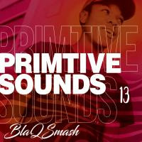 Primitive Sounds 13 Mix By BlaQSmasH by BlaQSmasH