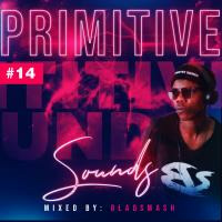Primitive Sounds 14 Mix By BlaQSmasH by BlaQSmasH