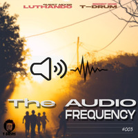 The Audio Frequeny Vol 3 by Luthando Mkonkqwana