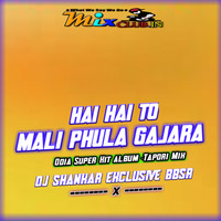Hai Hai To Mali Phula Gajara (Super Dance Mix) Dj Shankar exclusive Bbsr by DJ Shankar Remix