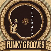 Gotta Be Funky by Zemerald