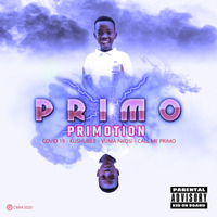 PRIMO - Covid-19 by PRIMO SA