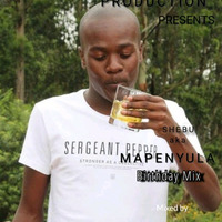 Shebu_aka_Mapenyula_Birthday_mix(Mixed_by_Measure_on_Deck)01 by Michael Measure Palmer
