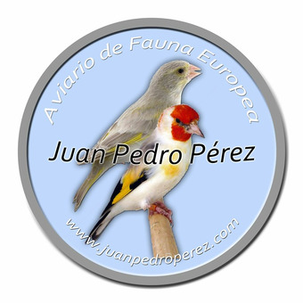 Juan Pedro Pérez