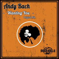 Wanting You by Andreas Bach