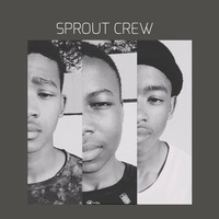 Sprout Crew-Treasure by DSS RECORDING LABEL