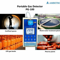 Portable Gas Detector - Confined Spaces  Gas Detection  Detect Any Gas Leak Anywhere by ambetronics