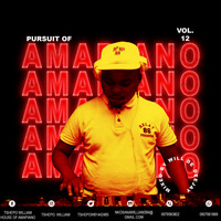 pursuit of amapiano vol12 mixed by will de deejay by @willdedeejay.com
