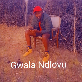 Gwala Ndlovu