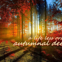 A Life Less Ordinary: Autumnal Deep #4 by Nick Denny