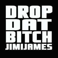 DropDatBitch (Big Kid Big Room Mix) ***OFFICIAL REMIX*** by BK