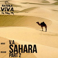 Paul Haro & Alex Young - Placebo (Original Mix) [Natura Viva] by Paul Haro