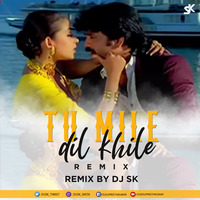Tum Mile Dil Khile (Remix) - DJ SK by DJ SK