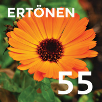 E55 - Calendula by ERTÖNEN