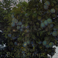 Blue Orange by VictorYibril