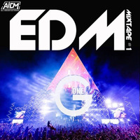 EDM Mixtape #1 - DJ G-One by ALL INDIAN DJS MUSIC