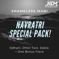 02 - Dholi Taaro Dhol Baaje (Remix) - Shameless Mani by ALL INDIAN DJS MUSIC