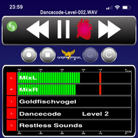 Goldfischvogel - Dancecode Level2 by Goldfischvogel
