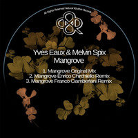 Yves Eaux & Melvin Spix - The Mangrove