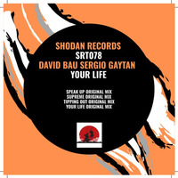 David Bau, Sergio Gaytan - Tippin Out (Original Mix) by HORATIOOFFICIAL