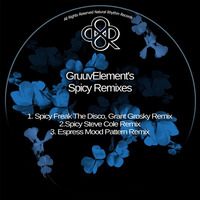 GruuvElement - Spicy (Freak The Disco, Grant Grosky Remix) MASTER by HORATIOOFFICIAL