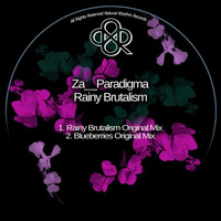 Za  Paradigma - Rainy Brutalism (Original Mix) by HORATIOOFFICIAL