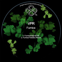 Vpr - Furnica (Fedotov Remix) by HORATIOOFFICIAL