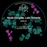 Nicola D'Angella, Luke Richards - Owls(Original Mix) by HORATIOOFFICIAL