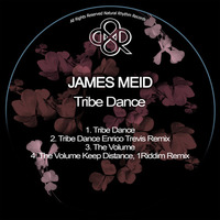 James Meid - The Volume (Keep Distance & 1Riddim Remix) by HORATIOOFFICIAL