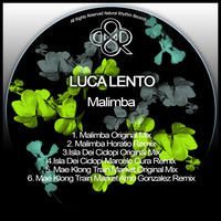 Luca Lento - Mae Klong Train Market (Arno Gonzalez Remix) by HORATIOOFFICIAL