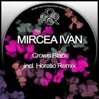 Crown Black (Larisse Van Doorn Remix) by HORATIOOFFICIAL