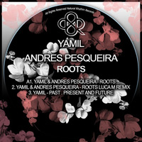 Yamil, Andres Pesqueira - Roots (Luca M Remix) by HORATIOOFFICIAL