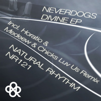 Neverdogs - Bullet From The Sky Medeew & Chicks Luv Us Remix by HORATIOOFFICIAL