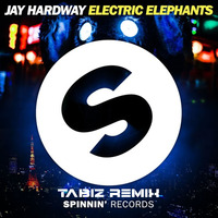 Jay Hardway - Electric Elephants (TaBiz Remix) by TaBiz