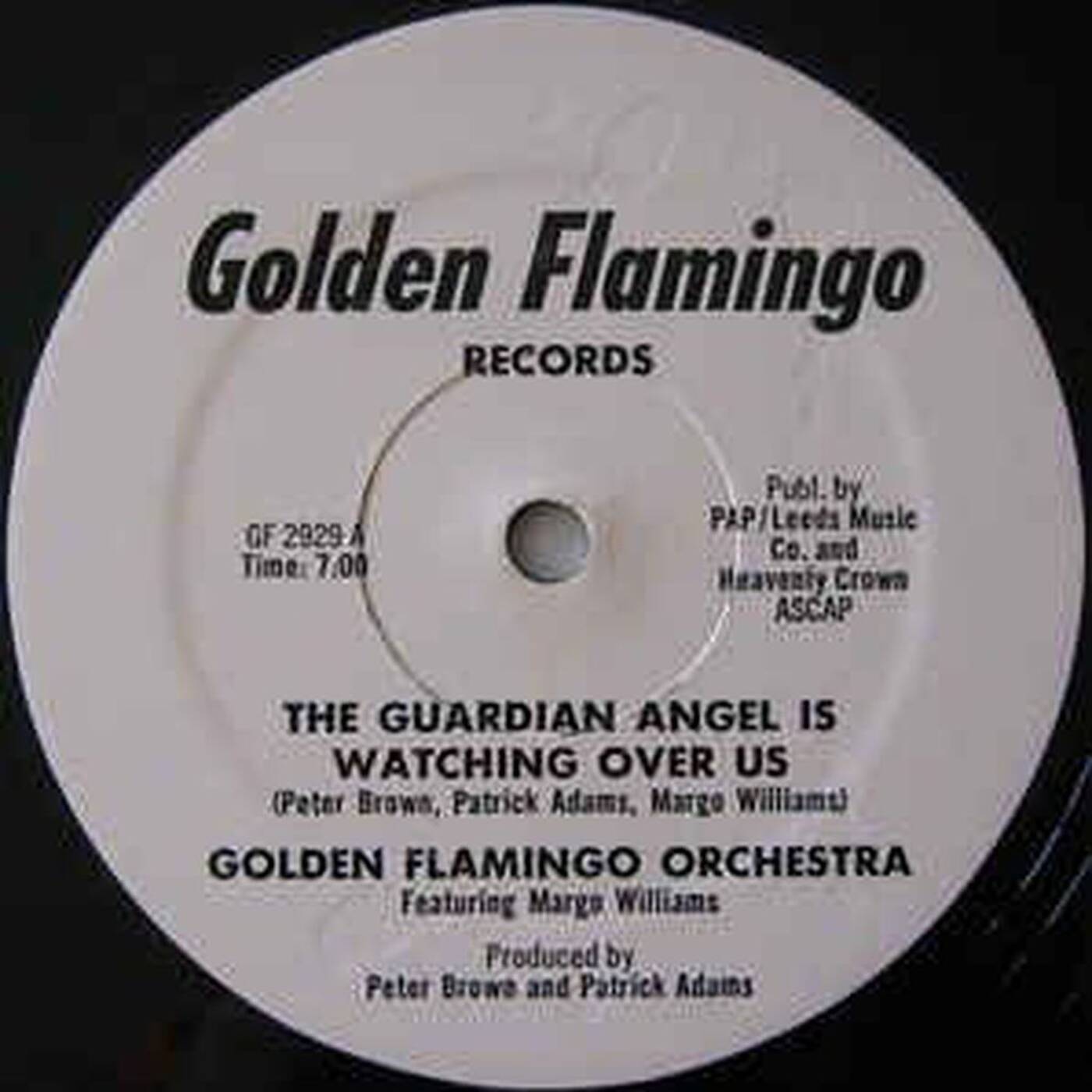 Golden Flamingo Orchestra feat Margo Williams - The Guardian Angel is Watching Over us episode artwork