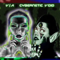 V/A - Cybernetic Void 