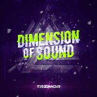 Dimension Of Sound| BEST OF 2020| PART 1 by Tremor