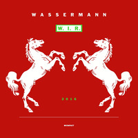 W. - Fackeln im Sturm (Farben Remix) by Dennis Hultsch 2
