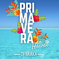 PRIMAVERA en Hawai - DJ Braka by DJ Braka
