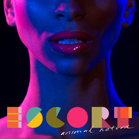 Escort - If You Say So (Morgan Geist Remix).mp3 by rivadeejay_