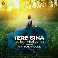 Tere Bina x Jashn E Bahara (Mashup) - Amitmashhouse by AIDD