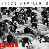 Mainstream by Operation Neptune Spear