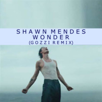 20's Canadian Club Shawn - Wonder (Gozzi Remix) by JohnnyBoy59
