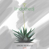 lindothedj - euphoric melancholy  #16th verse by lindothedj